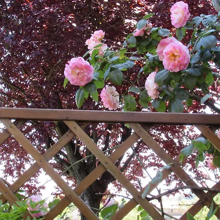 Apartmán Casa Angolo Delle Rose Orvieto