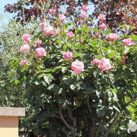 Casa Angolo Delle Rose Lägenhet *