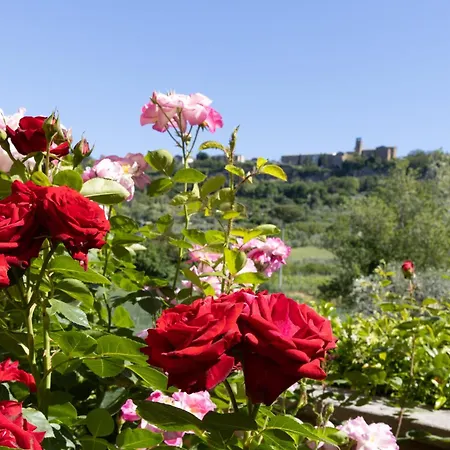Casa Angolo Delle Rose