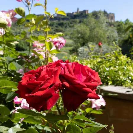Casa Angolo Delle Rose Apartman Orvieto