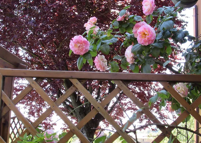 Apartmán Casa Angolo Delle Rose Orvieto